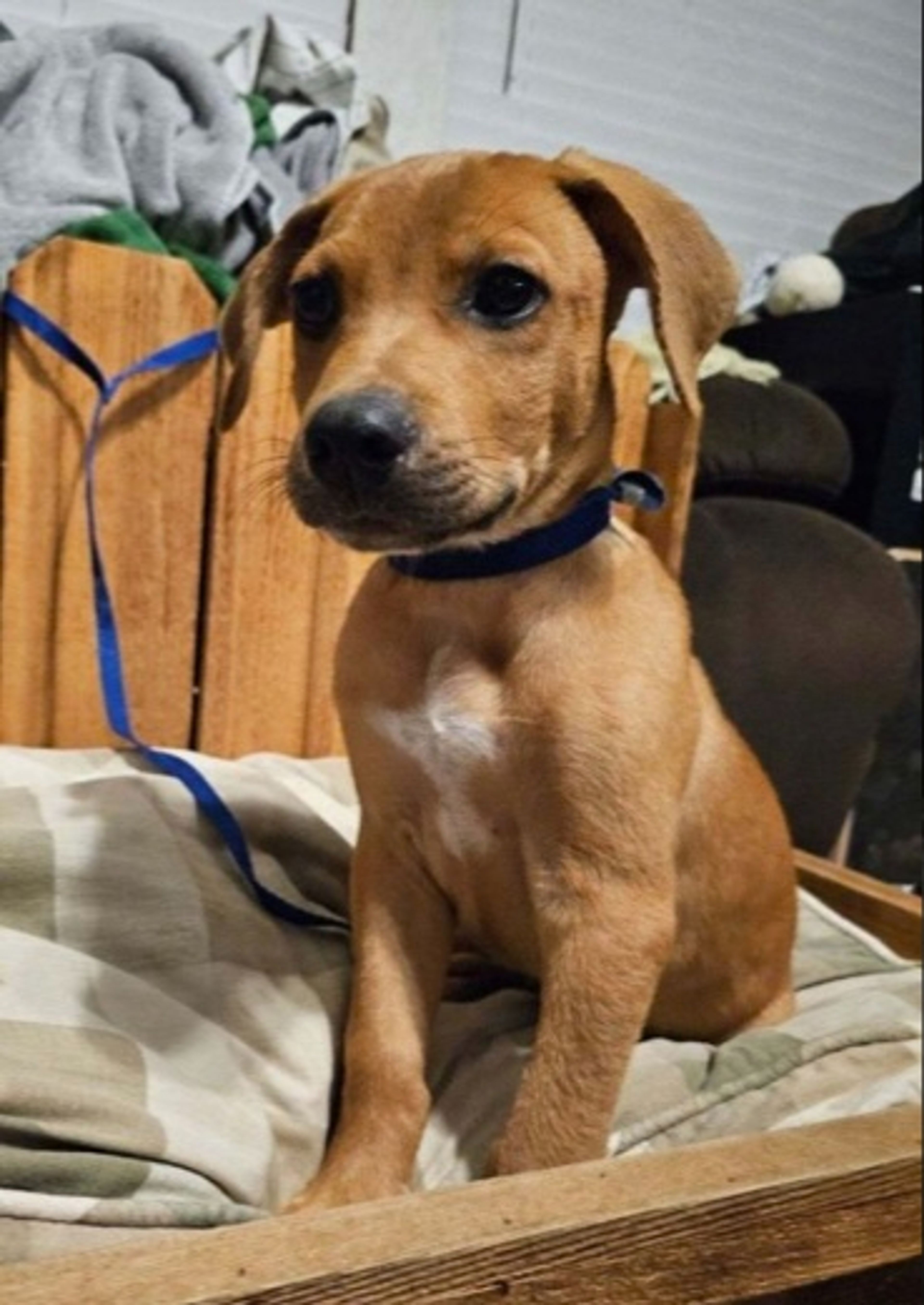 2 Bed  · 2 Bath for rent $2,000 / month