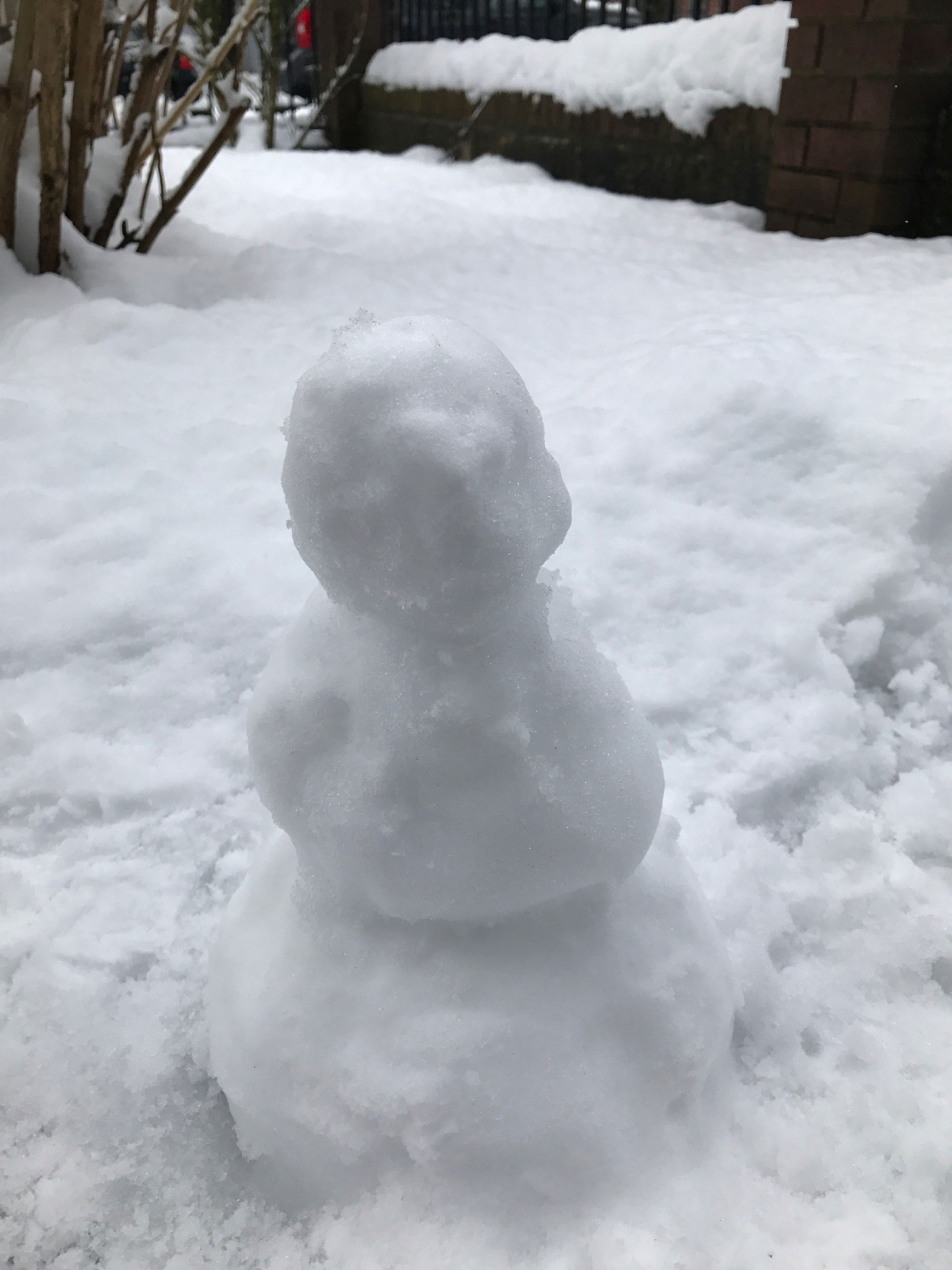 5 Bed  · 2 Bath for rent $3,500 / month