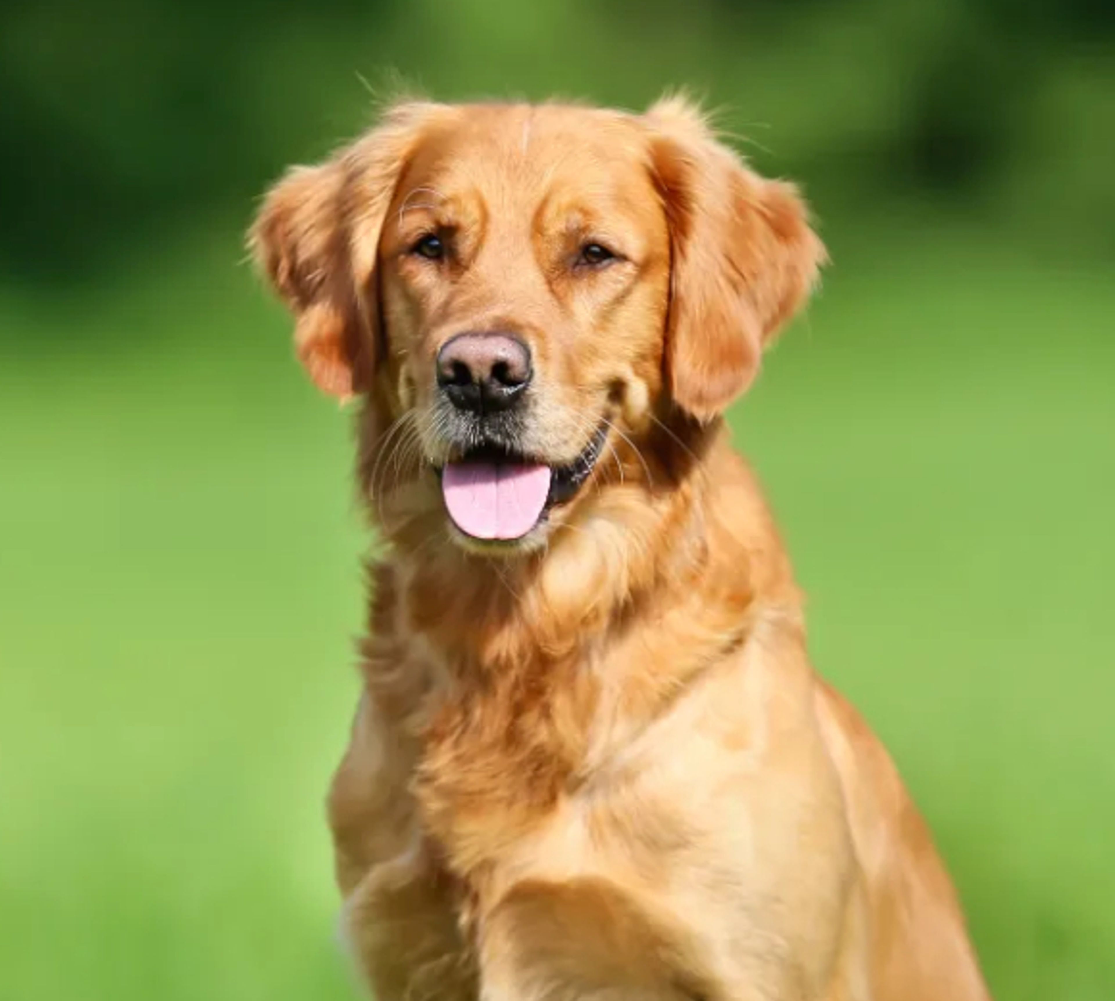 2 Bed  · 2 Bath for rent $5,000 / month