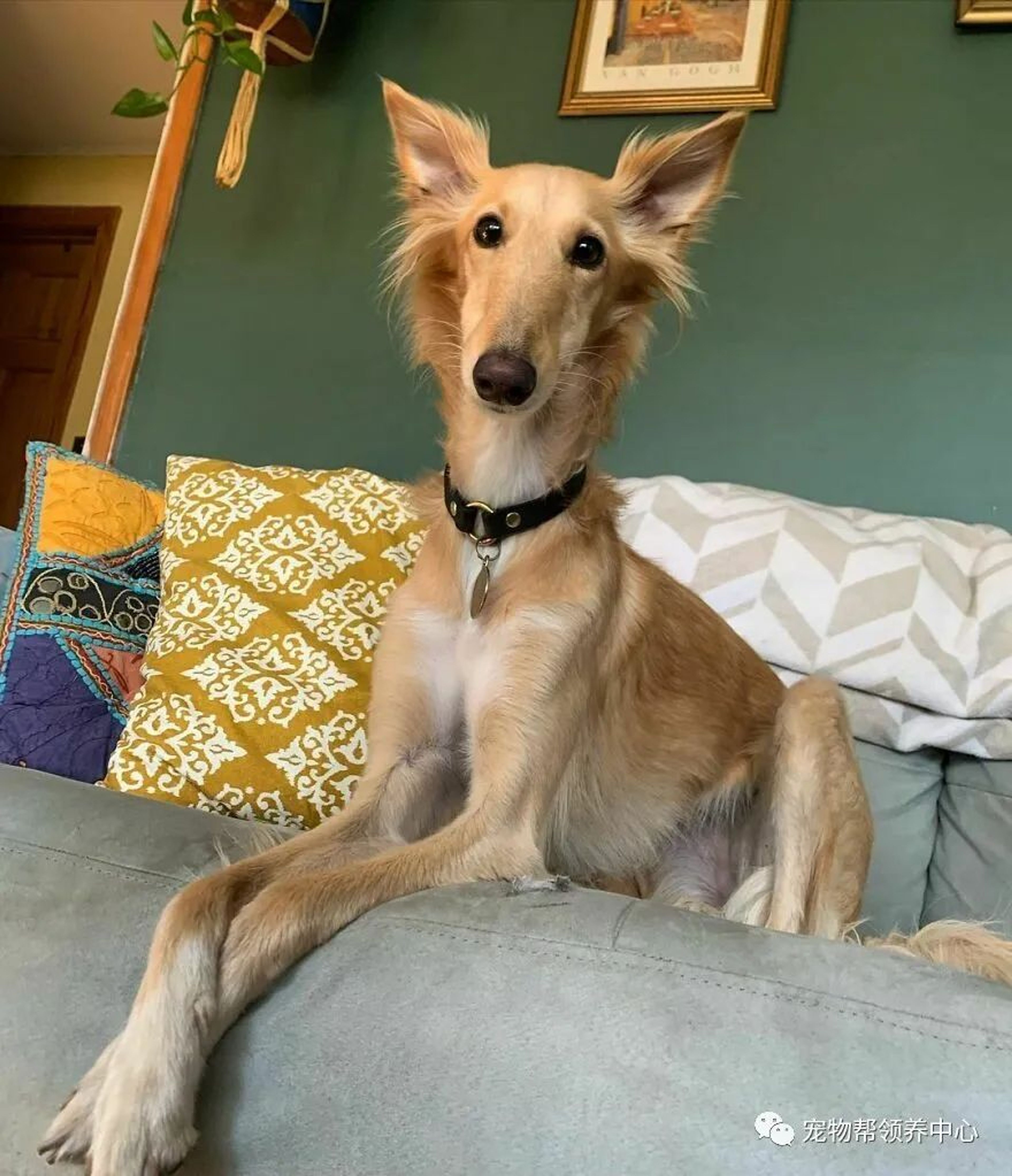 2 Bed  · 2 Bath for rent $2,345 / month