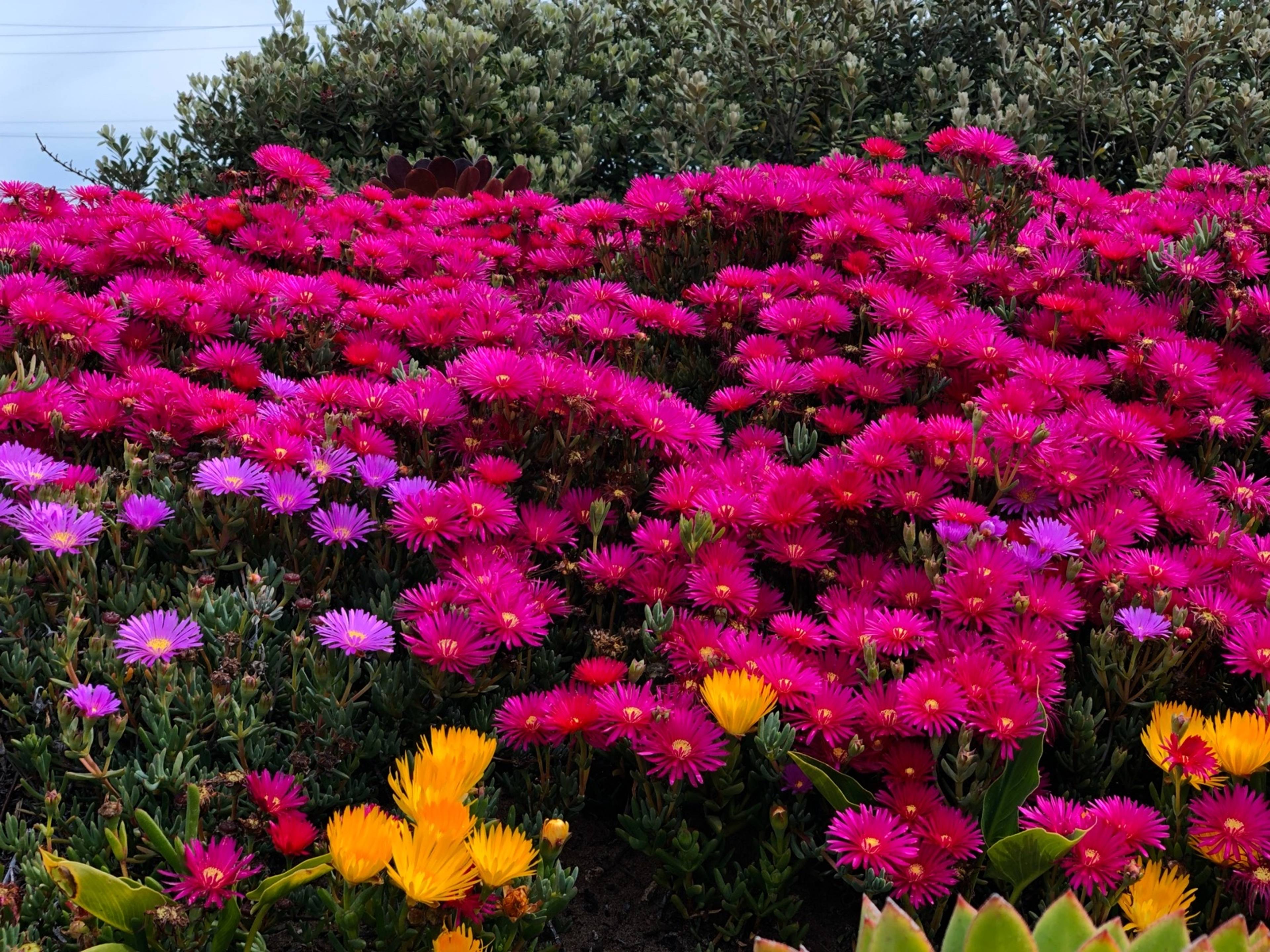 2 Bed  · 2 Bath for rent $22 / month