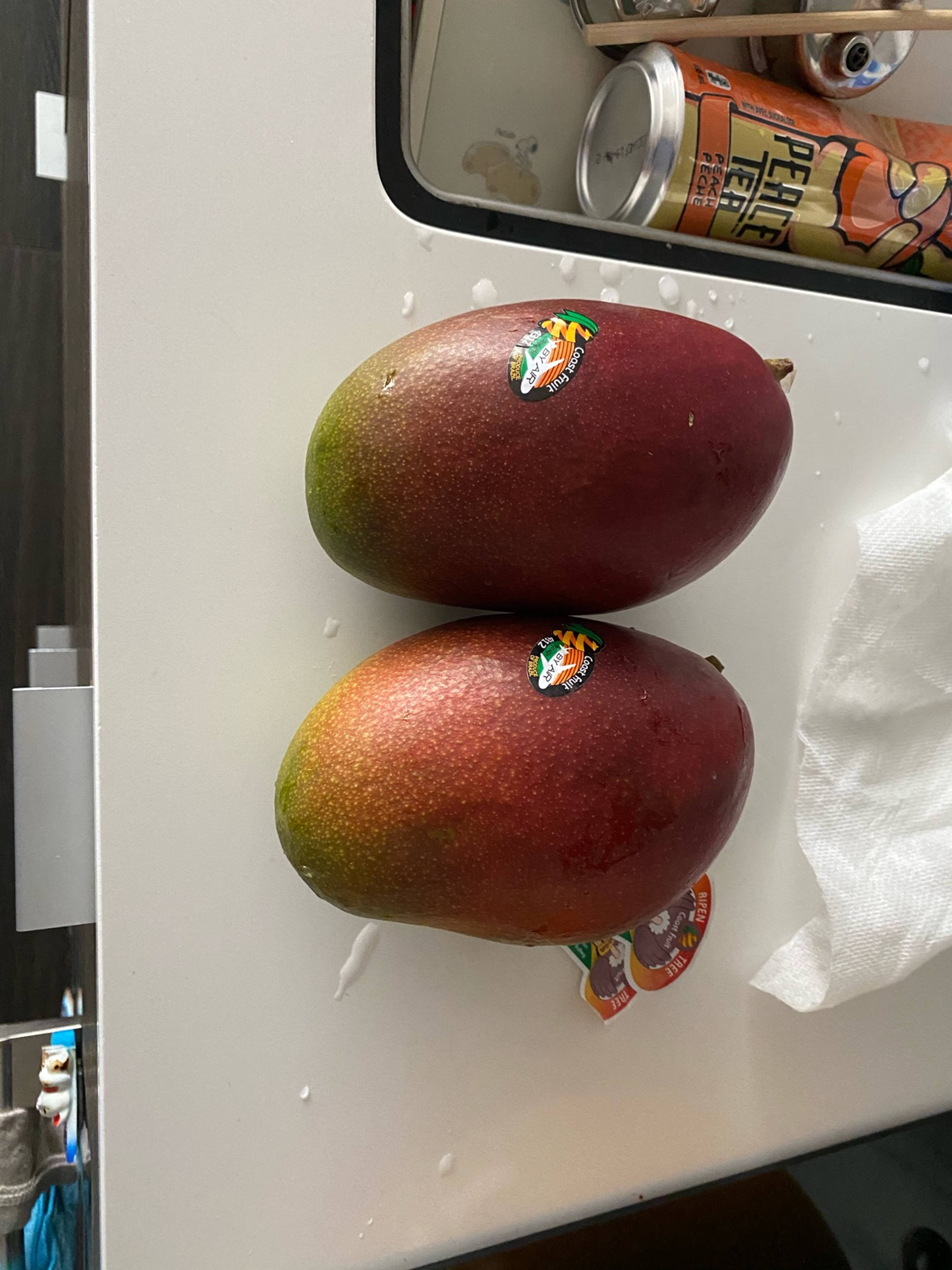 1 Bed  · 1 Bath for rent $1,500 / month