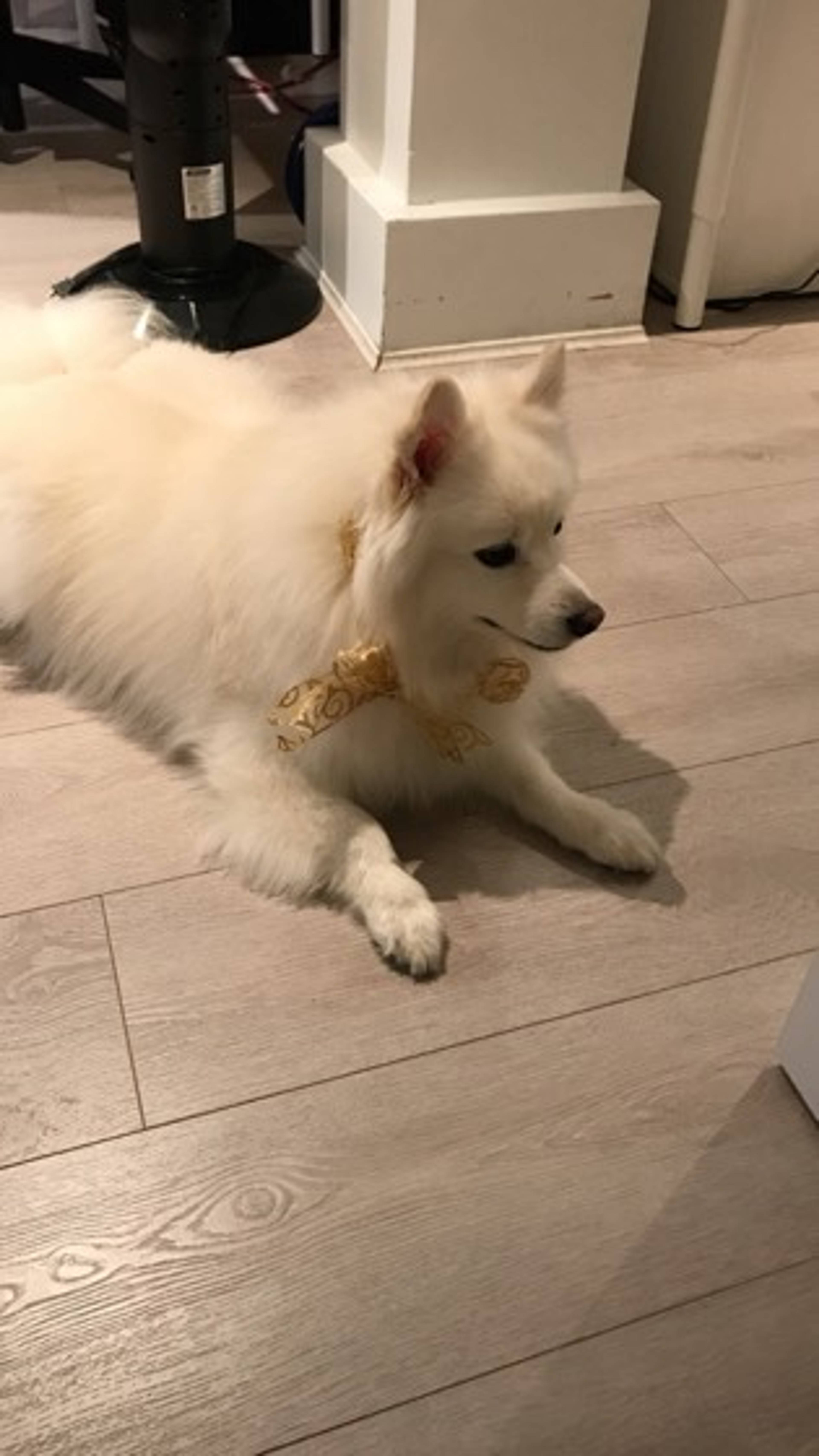 3 Bed  · 2 Bath for rent $2,600 / month