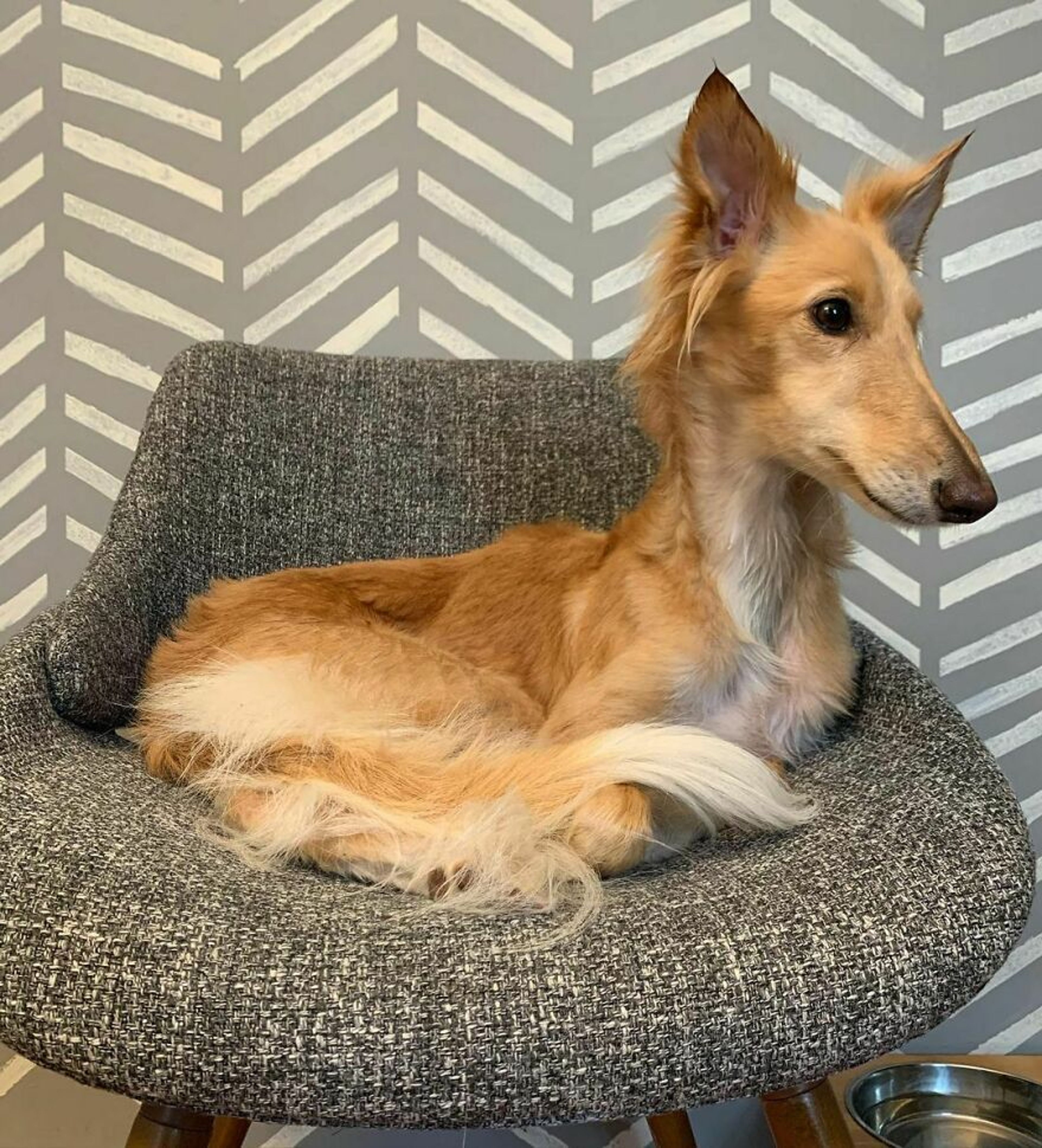 2 Bed  · 2 Bath for rent $2 / week