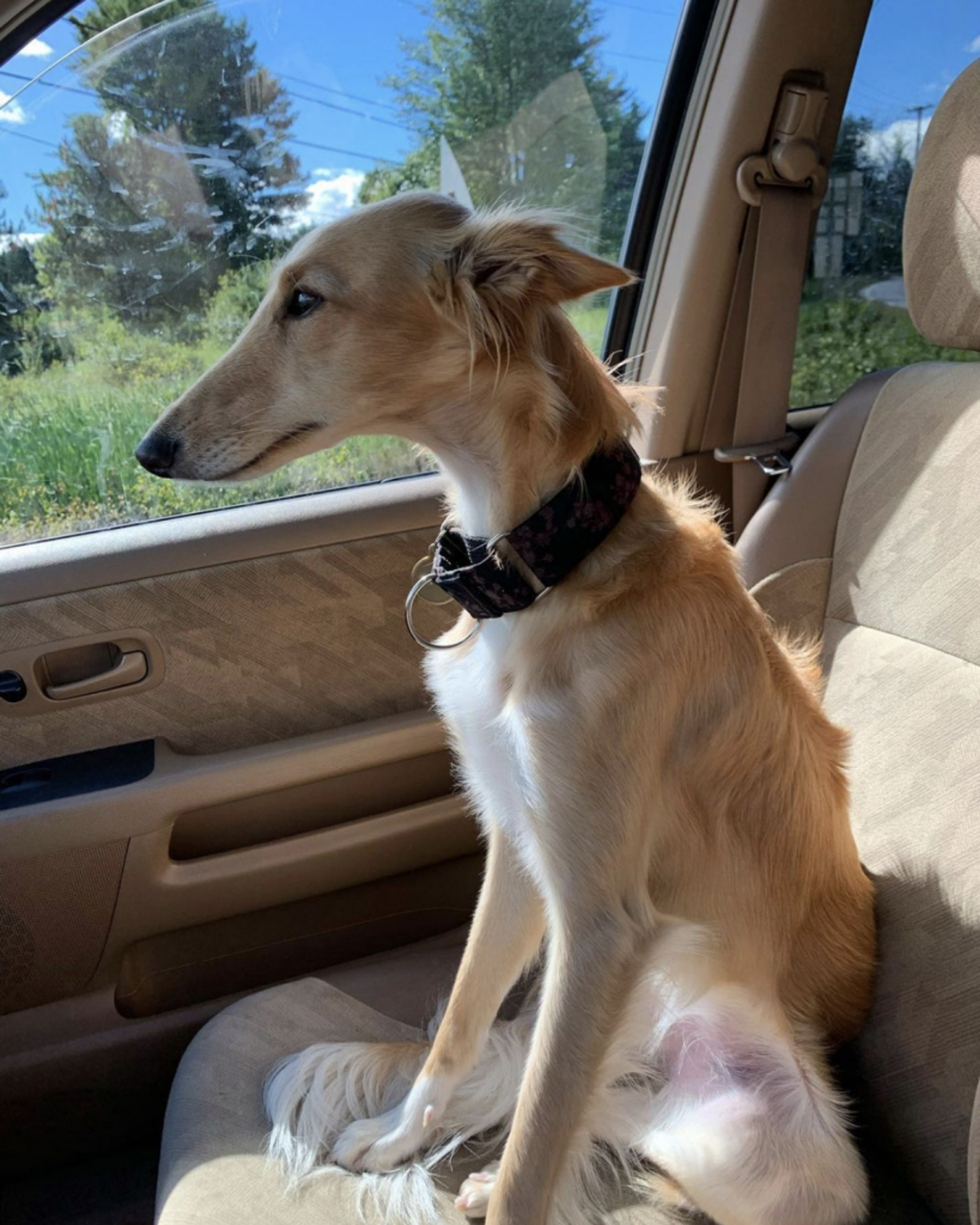 2 Bed  · 2 Bath for rent $2 / week