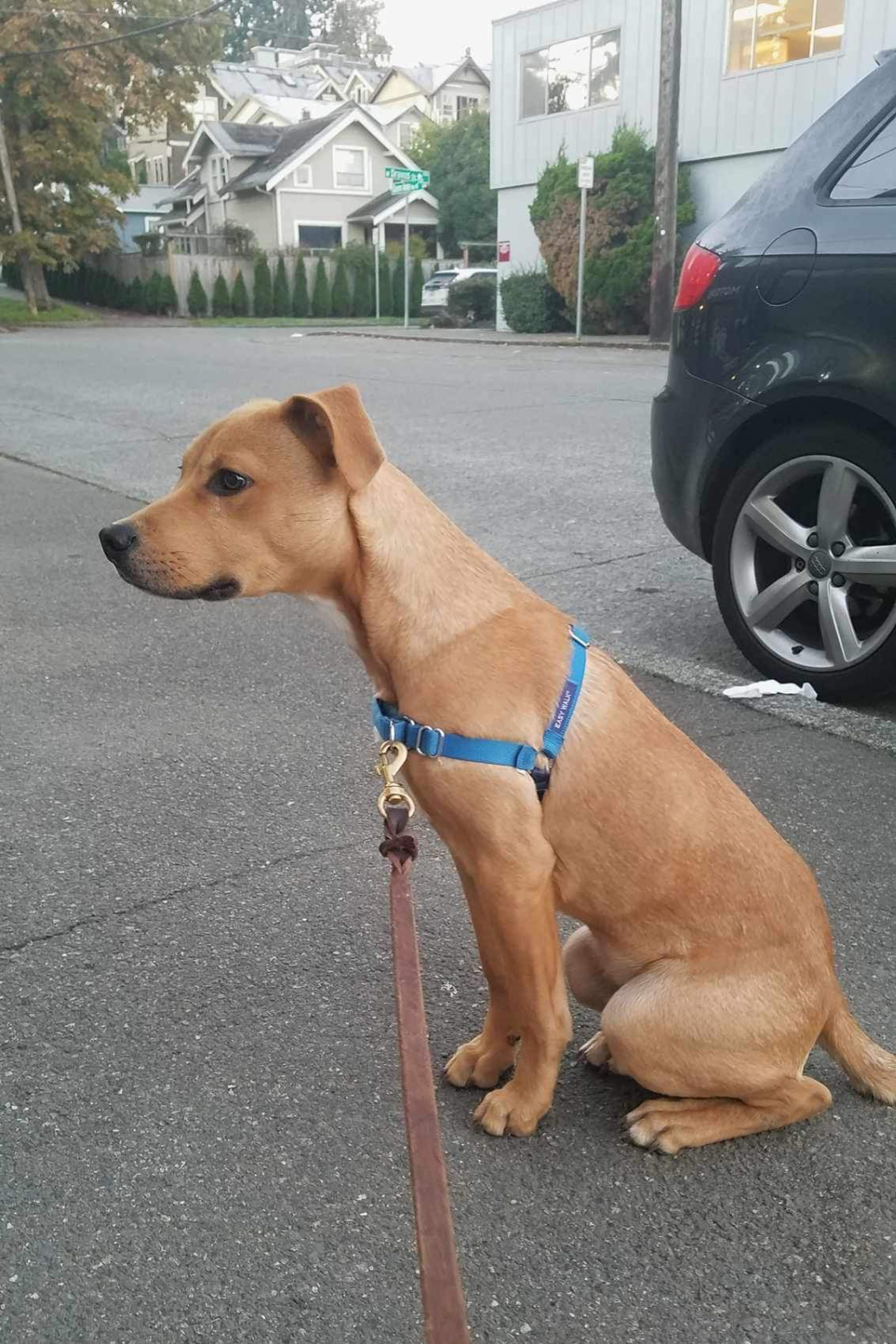 2 Bed  · 2 Bath for rent $3,000 / month